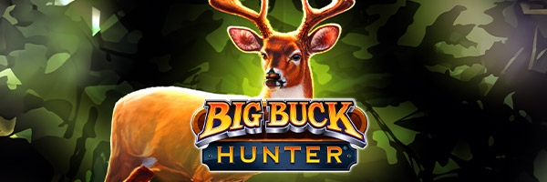 Big Buck Hunter: Marksman Background