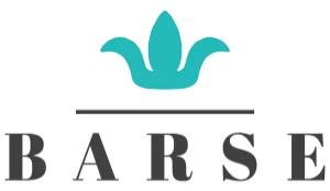 Barse Jewelry Logo