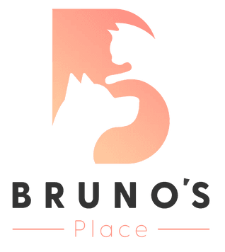 Bruno's Place Logo