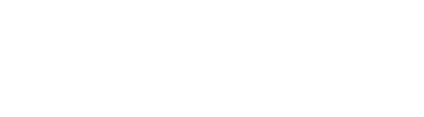 Disney Store Logo